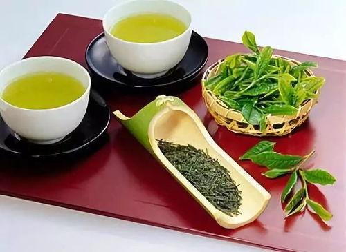 姐弟吃瓜小绿茶免费阅读,小绿茶的免费阅读之旅  第1张